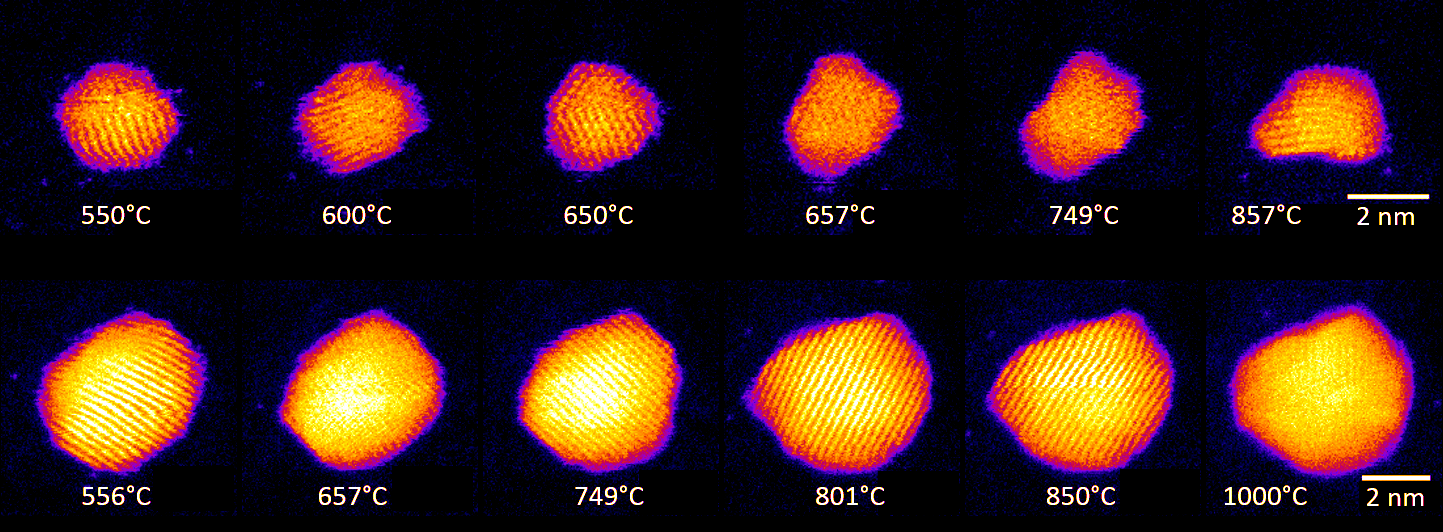 Shape changes in Au nanoclusters, indicating cluster surface melting at high tem